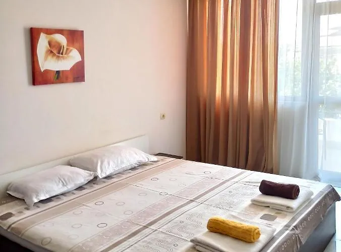 招待所 Zoia 切尔诺莫雷茨