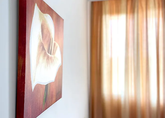 Zoia 切尔诺莫雷茨